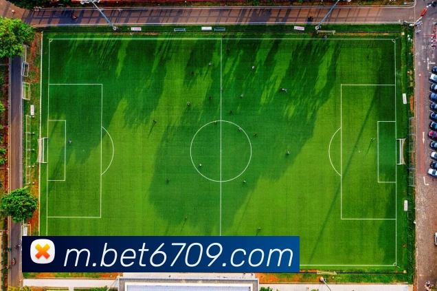 bet365com平台生态图